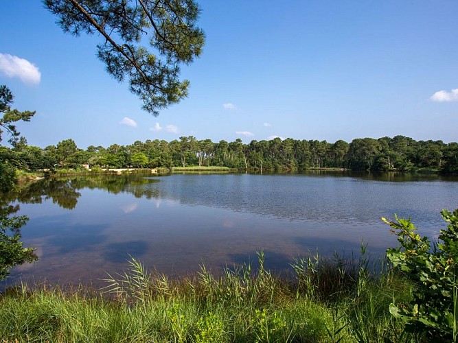 Réserve naturelle Près Salés d'Arès