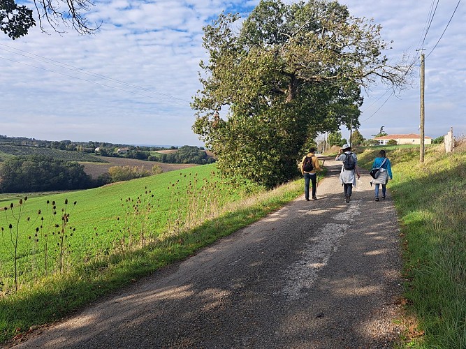 collines-randonneurs