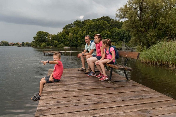 Étang de Hirbach - Holving