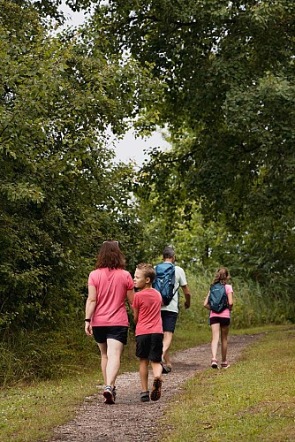 Étang de Hirbach - Holving