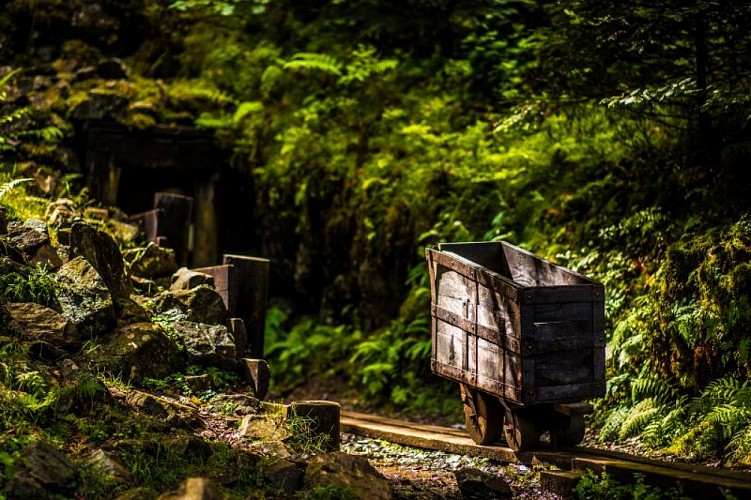 Les Hautes-Mynes - Copper mines