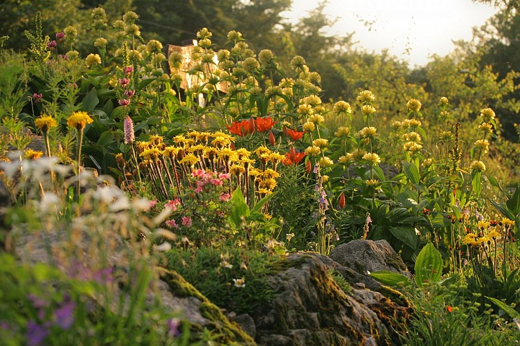 Jardin d'Altitude du Haut Chitelet (Höhengarten)
