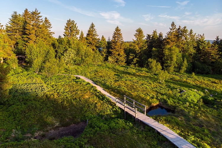 Haut Chitelet High-Altitude Garden