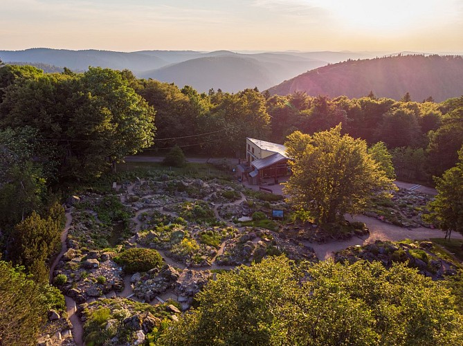 Jardin d'Altitude du Haut Chitelet