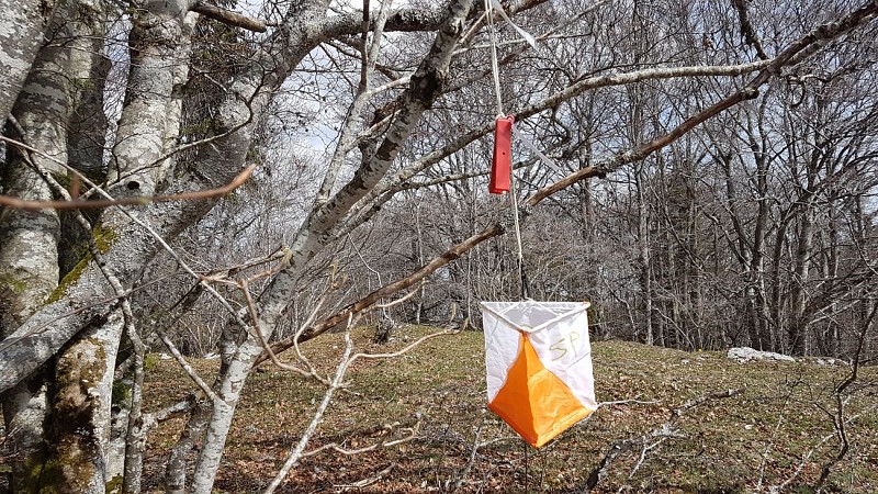Course d'orientation par équipes avec Sylvain Poncet