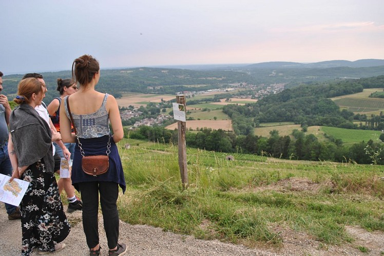 Balade dégustation dans les vignes
