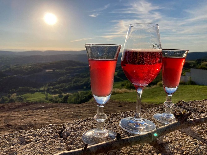 Balade dégustation dans les vignes