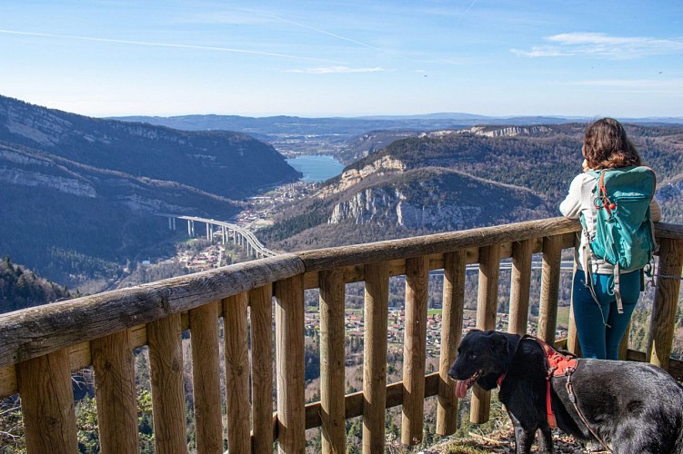 Guide touristique local avec Patte sur l'aventure