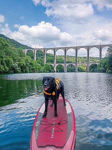 Coaching randonnée avec Patte sur l'aventure