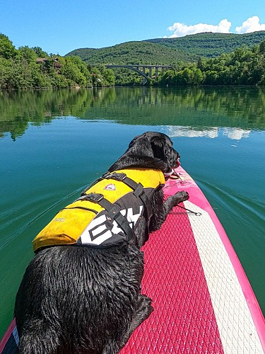 Coaching randonnée avec Patte sur l'aventure