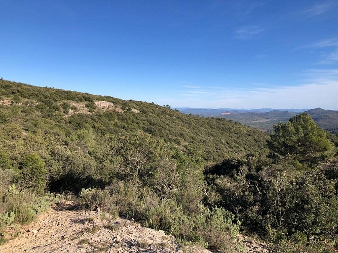 Plaine de l'Issole en contrebas