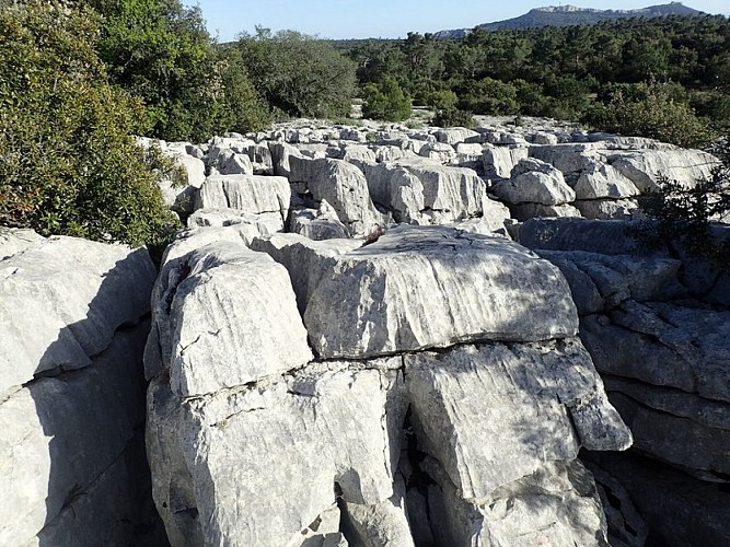 Lapiaz de Siou Blanc