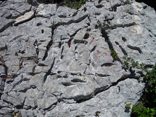 Diaclase, une cassure de la roche