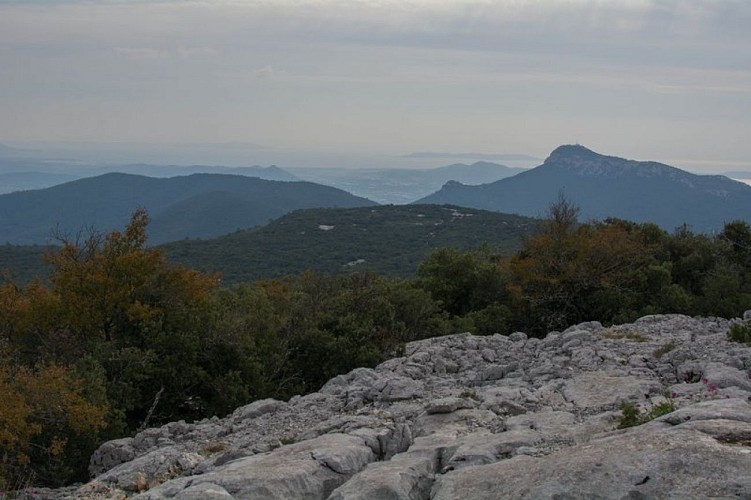 Point de vue sur la Méditerranée depuis le Grand Cap