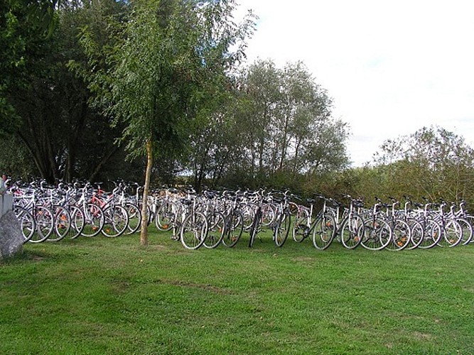 Location de vélos Anjouveloc