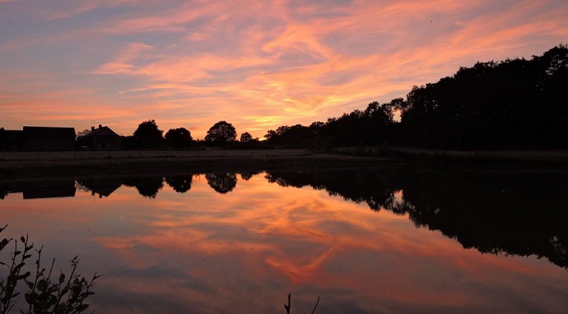 Mon Savoureux Jardin - Gîte le Coquelicot