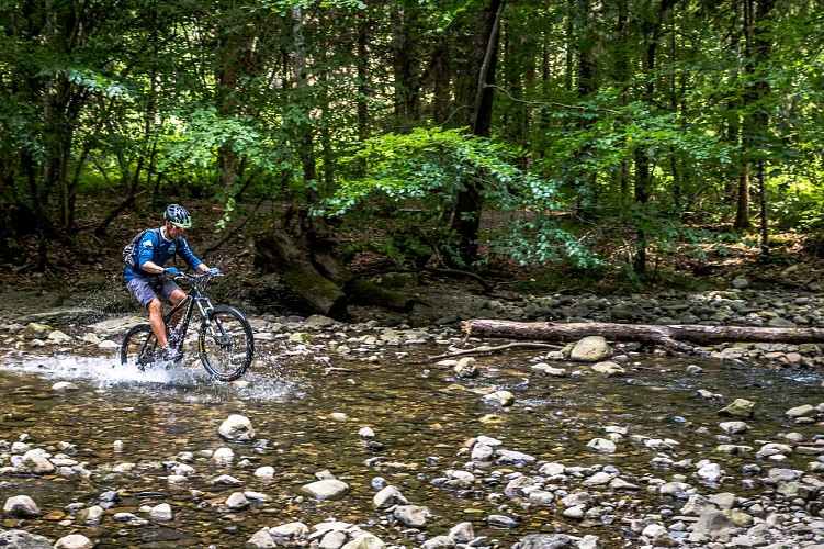 Descente de la Menoge en VTT + location VTT