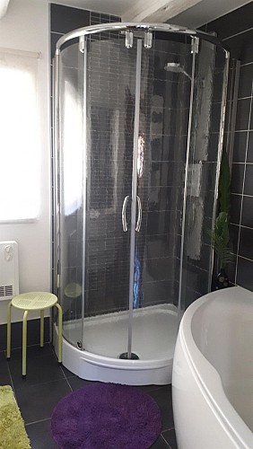 salle de bain vue douche baignoire