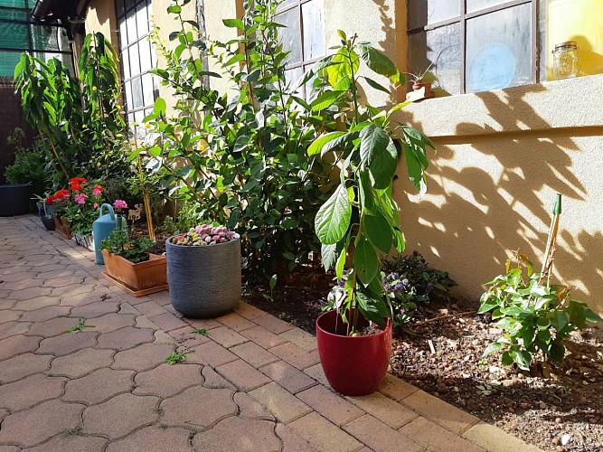 Zewwelatreppler - La Grange aux Petits Oignons - Cigogne