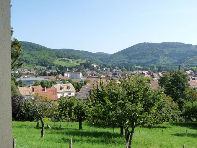 Guesthouse chalet Rose