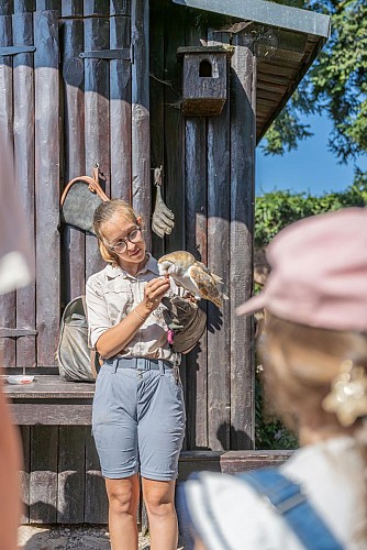 La Volerie des Aigles