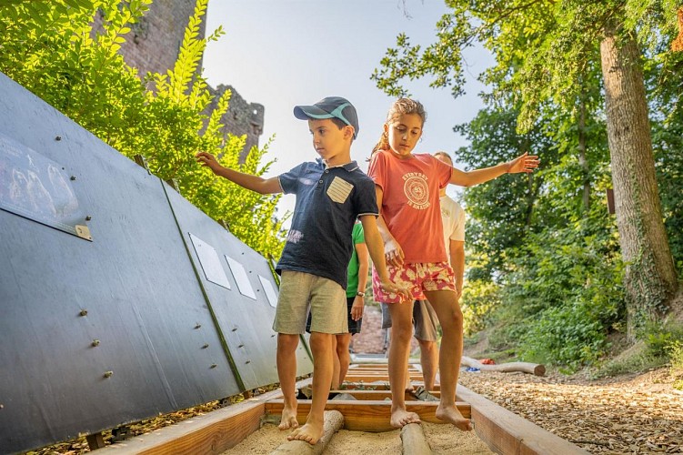 La Volerie des Aigles