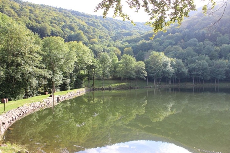 Pêche au lac du Lachtelweiher