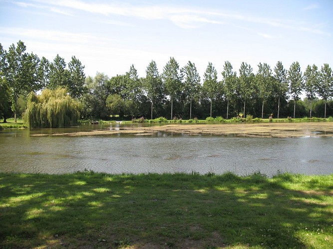 AIRE DE PIQUE-NIQUE - PLAGE DE ROCHEFORT SUR LOIRE