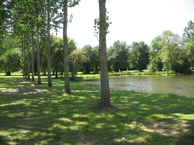 AIRE DE PIQUE-NIQUE - PLAGE DE ROCHEFORT SUR LOIRE