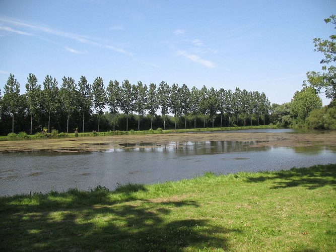 Aire de pique-nique - Plage de Rochefort sur Loire