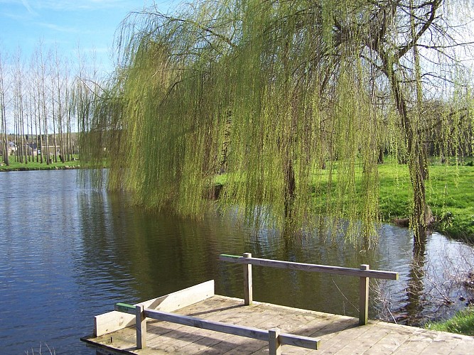 Aire de pique-nique - Plage de Rochefort sur Loire