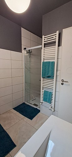 CH-vue-du-lac-villerslelac (8)