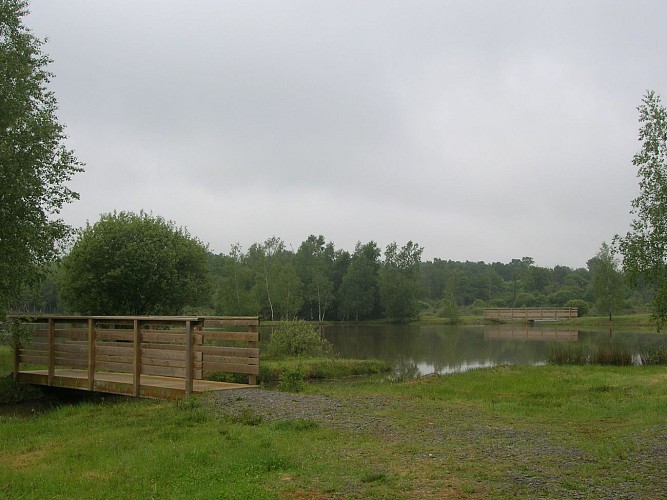 AIRE DE PIQUE-NIQUE DE L'ÉTANG DES BRUYÈRES