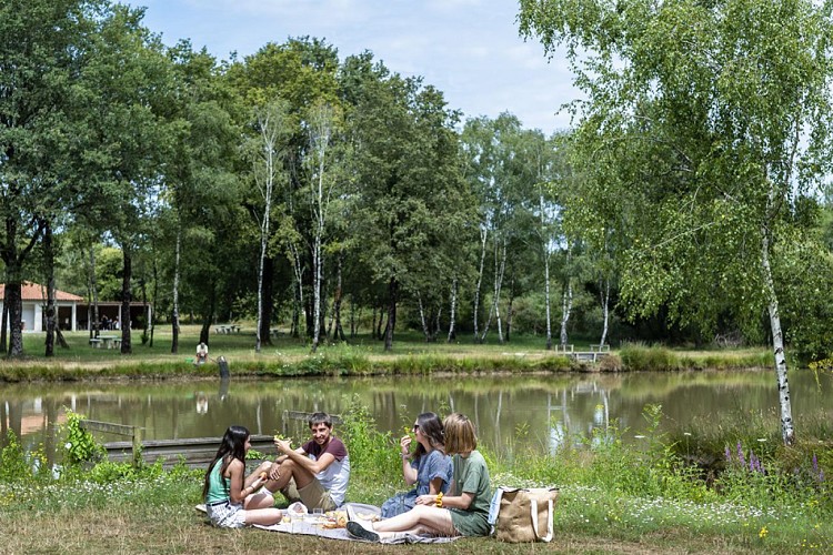 Aire de pique-nique Etang des Bruyères au Fuilet