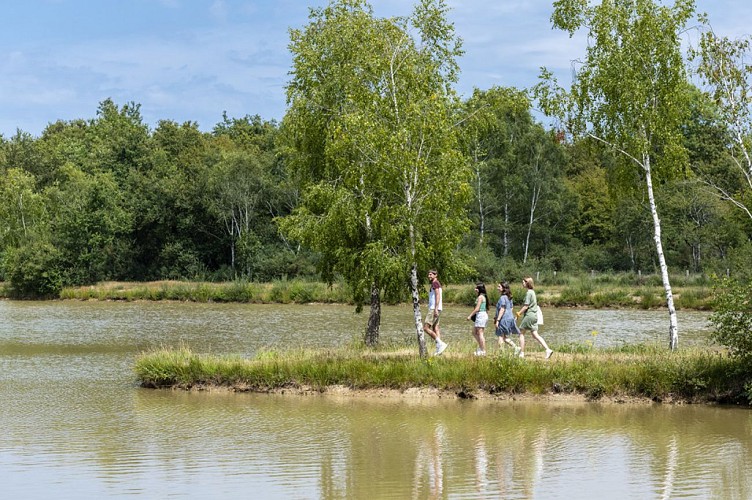 Aire de pique-nique Etang des Bruyères au Fuilet