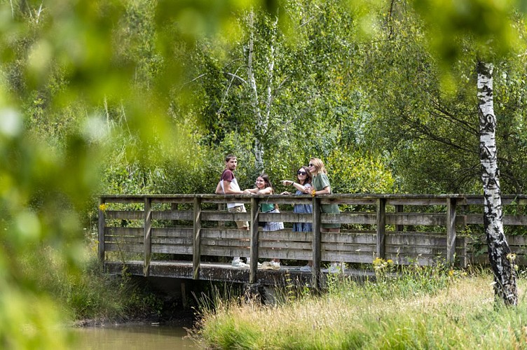 Aire de pique-nique Etang des Bruyères au Fuilet