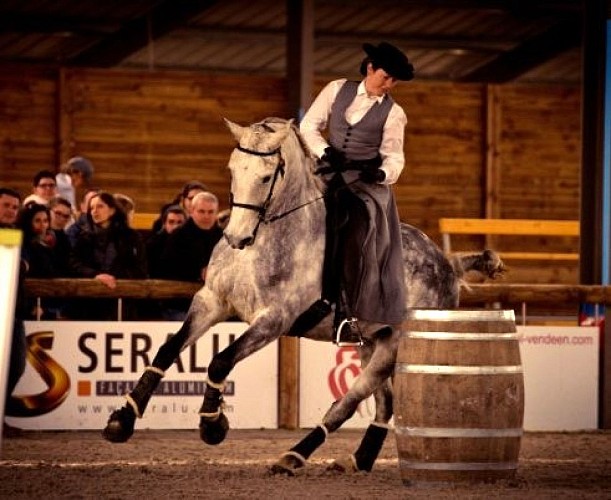 Stage équitation de travail - Equifeel
