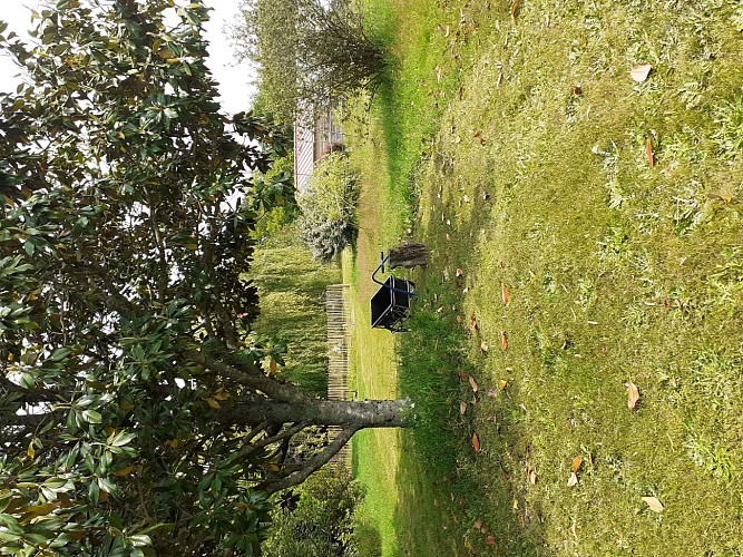 3parking à l'ombre du magnolia (002)