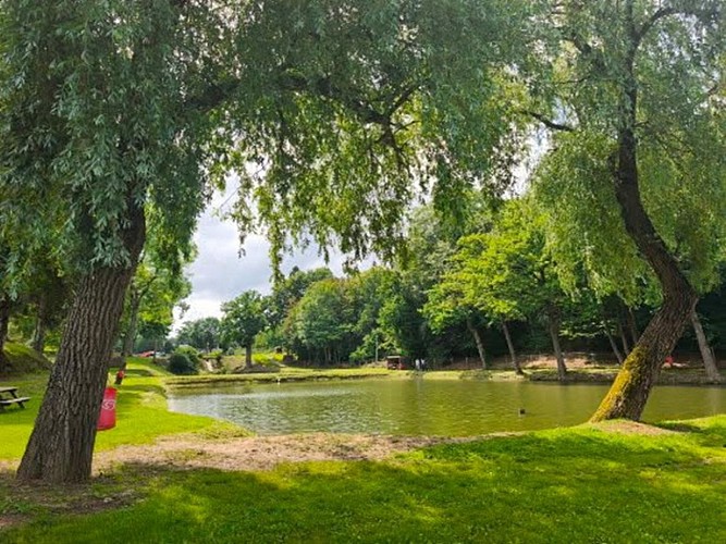 Etangs_du_val_daure (4)