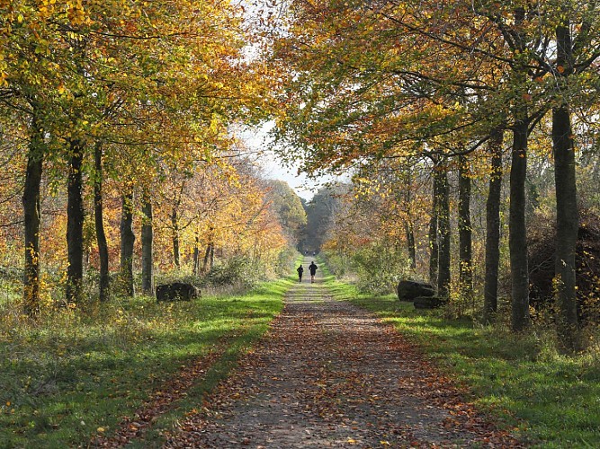 TOURINSOFT - Bois des Amis de Jean Bosco