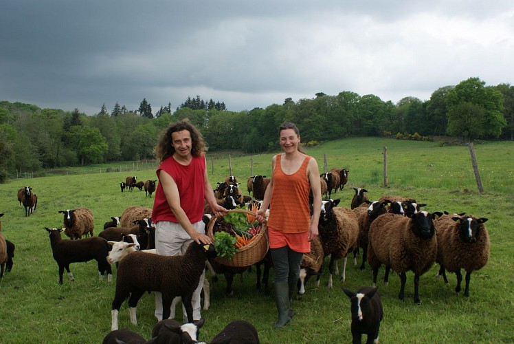 L'EPICERIE DE FONTAINE DANIEL