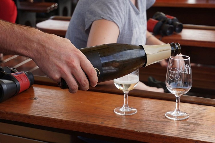 Croisières Saumur Loire