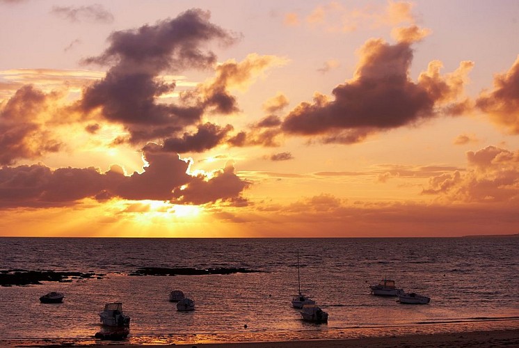 GRANDE PLAGE DE SION