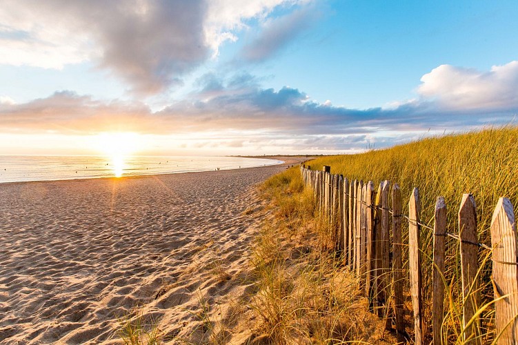GRANDE PLAGE DE SION