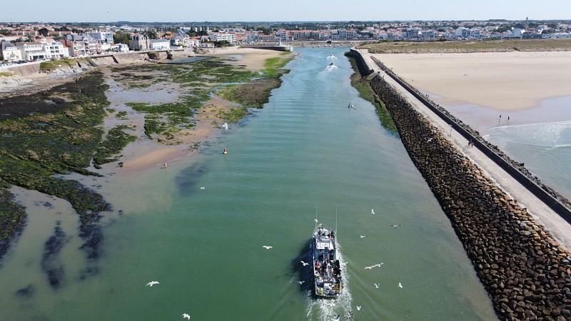 PECHE ET PROMENADE EN MER - L'AMI DU PECHEUR