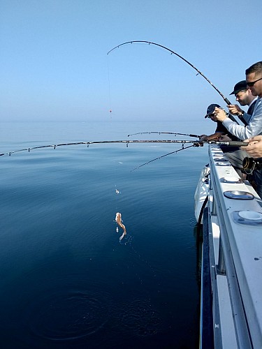 PECHE ET PROMENADE EN MER - L'AMI DU PECHEUR