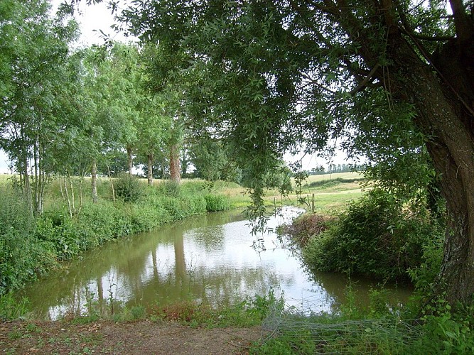 Meublé Le Bois Maurice