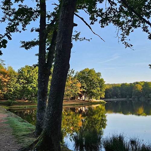 photos du Merle Monique Polte 6