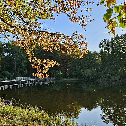 photos du Merle Monique Polte 9