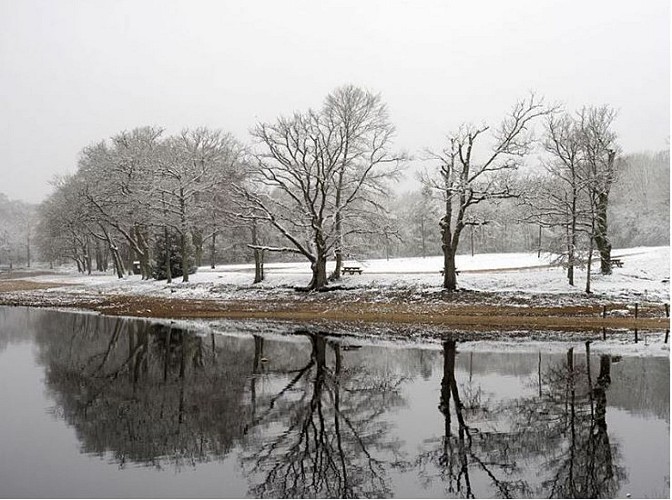 Etang du merle hiver